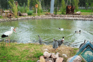 پارک حیاط وحش ازمیر Izmir Zoo |توران ازمیر | باغ وحش ازمیر | Izmir Zoo ترکیه