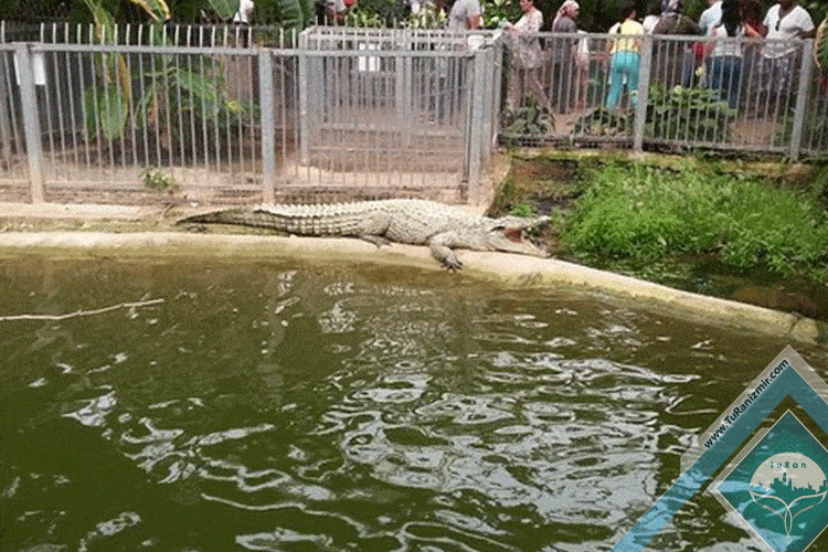 باغ وحش ازمیر