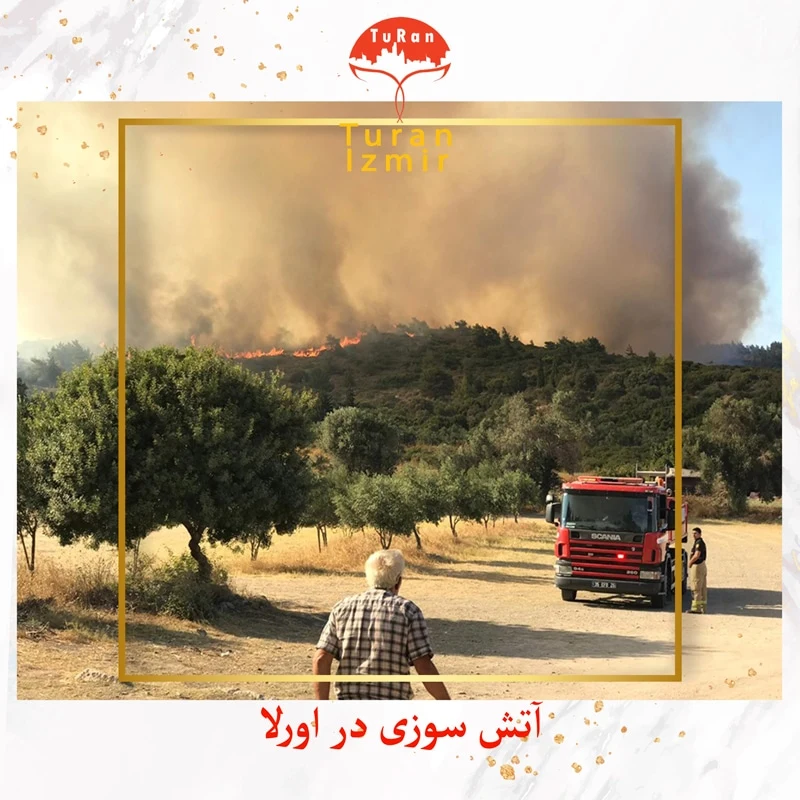 آتش در اورلا به دریا رسید | توران ازمیر | آتش سوزی در اورلا ترکیه