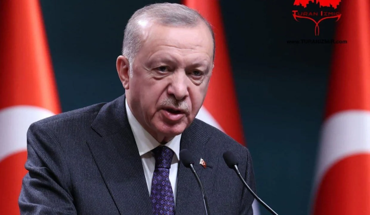 رایزنی تلفنی اردوغان با نخست وزیر ژاپن