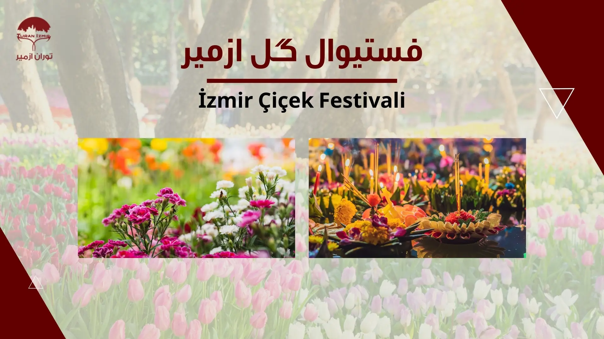 فستیوال گل ازمیر