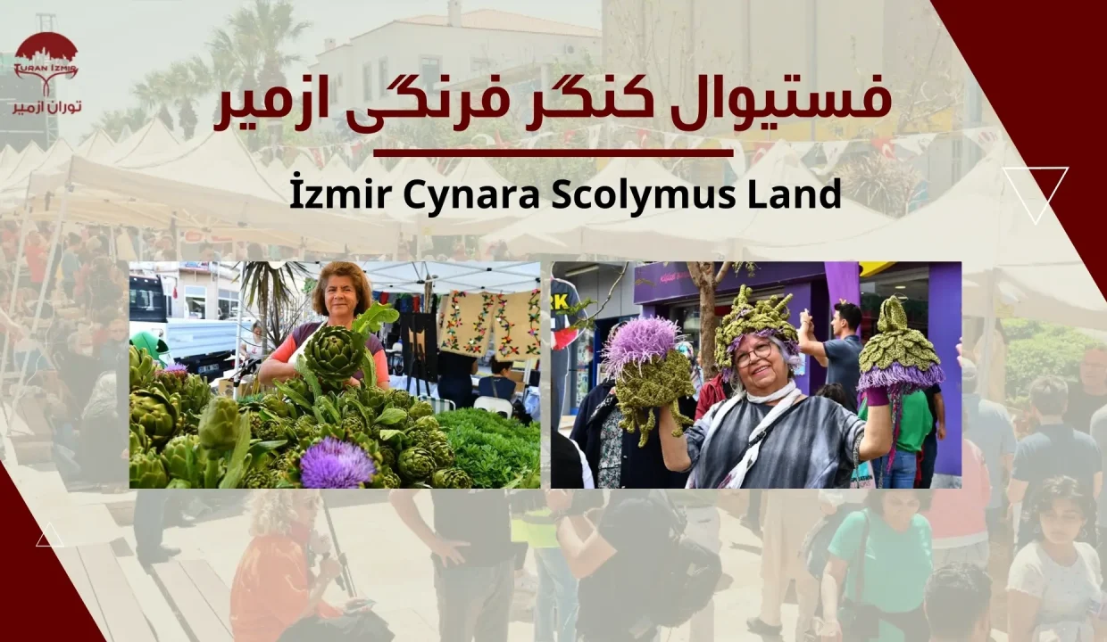 فستیوال کنگر فرنگی در ازمیر